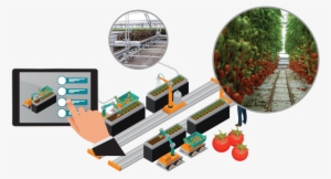 Smart Greenhouse Harvesting Robotics - Robotics