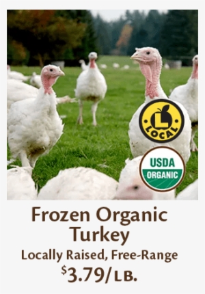 Fresh Turkey Frozen Turkey Frozen Organic Turkey - Broad Breasted White Turkey Female