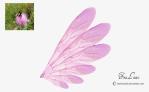Pink Transparent By Tinalouiseuk - Fairy Wings With Transparent Background