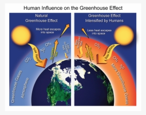 App Greenhouse Effect V5 - Human Influence On The Greenhouse Effect