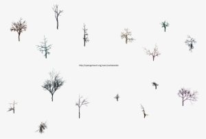 Hjm Dead Trees Rootless 1 Alpha - Line Art
