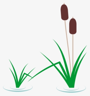 Pond Plant Clipart - Cattail Clipart