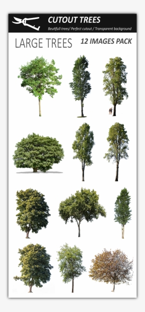 Pin By Cutout Trees On Photoshop Vegetation Png - Perfect Cut Out Tree