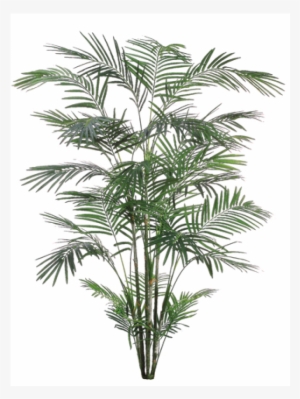 5' Tropical Areca Palm X6 With 1017 Leaves - Silk Plants Direct Areca Palm Tree - Green - Pack Of
