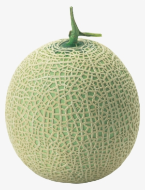 Free Png Melon Png Images Transparent - Melon Fruit Png