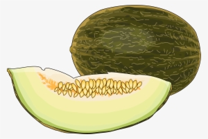 cantaloupe png download - dibujo melón
