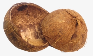 Coconut Shell Png