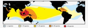 Species Diversity Biogeography - Symbiodinium Biogeography