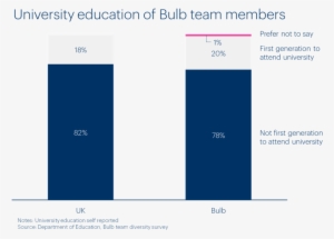 Bulb Team University Education Diversity