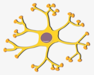 Pixabay Neuron - Neuron Png