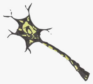 Neuron Png