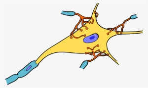 Big Image - Neuron Png