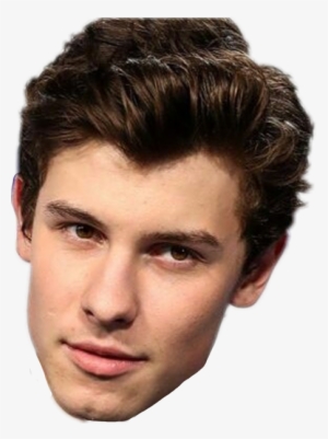 Report Abuse - Shawn Mendes Head Png