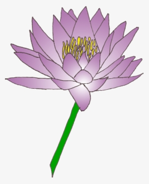 Free - Clip Art Lily Flower