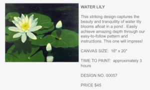 Water Lily Popup Paint Studio - Popup Paint Studio
