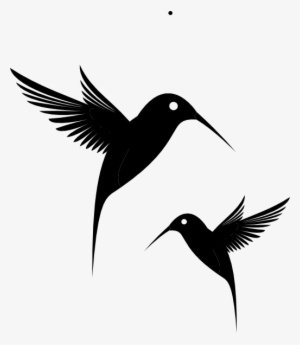 Vector Free Library Black Humming Bird Clip Art At - Black Birds Clip Art