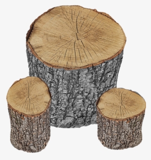 About Post Oak Stump Sizes Range From 12" To 40" Bulk - Tree Stump