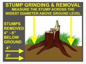 Professional Stump Removal - Stump Grinder
