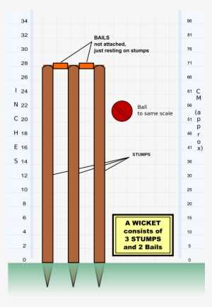 Open - Parts Of A Wicket