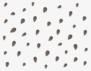Line Angle Point - Watermelon Seed Pattern Png