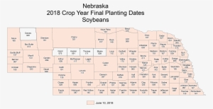 Nesoybeans Final - Number