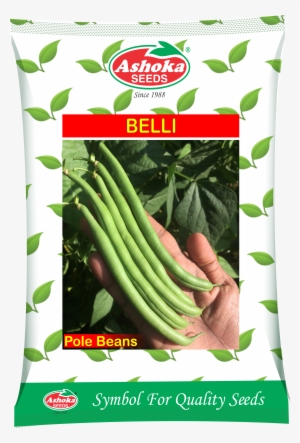 Testimonials - “ - Ashok Seeds In Chilli Product