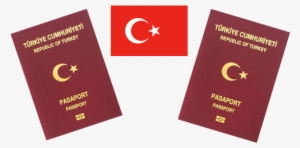Turkeypassport - Publication