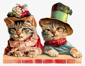 Victorian Cats Image Download - Vivtorian Png