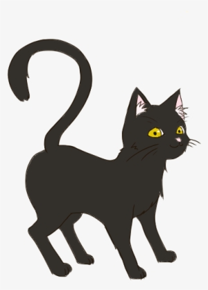 B猫３ - Black Cat