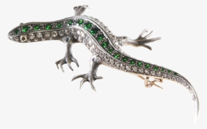 Salamander Png Transparent Image - Jewellery