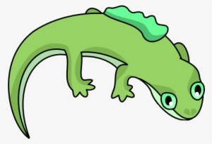 Plant Salamander - Wiki