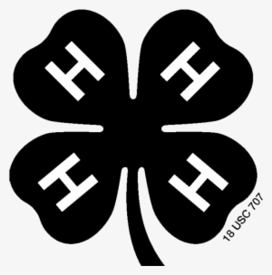 Black And White Clover - 4 H Emblem Black