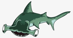 Hammer-head Shark - Hammerhead Shark