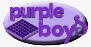 Purple Boys Logo - Tim And Eric Purple Mattress