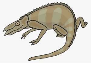 How To Set Use Brown And Gray Chameleon Clipart