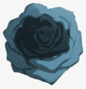 Untitled-2 - - Garden Roses