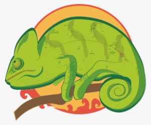 Illustration Chameleon Colorful - Chameleons