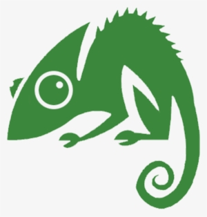 chameleon web services logo