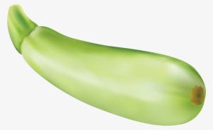 Zucchini Png