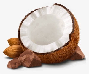 Png Almond - Chocolate With Coconut Png