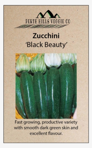Zucchini 'black Beauty'