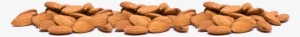 almonds - morimax virgin 100% pure almond oil 150 ml