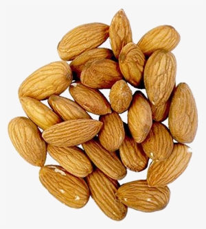 Almond - It's The Nut Shaq