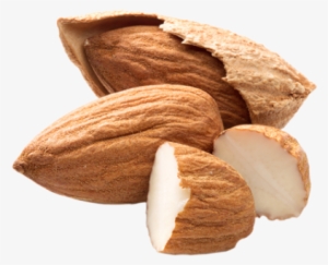 Almond Png Transparent Free Images - Almond Png Transparent Hd