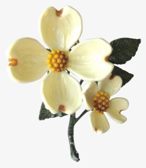 Flower Transparent Dogwood - Transparent Glass Dogwood Flower Png