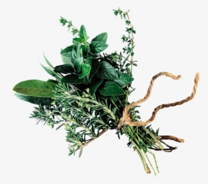 Herbs Tinos