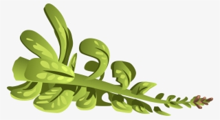 How To Set Use Herbs Rubeweed Clipart