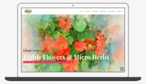 Follow Me On Instagram And Dribbble - Hollyhocks