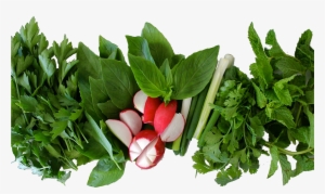 Herbs Final - سبزی خوردن