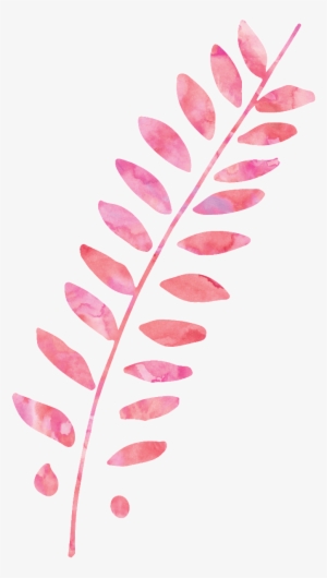 This Graphics Is Pink Plant Cartoon Transparent About - Pink